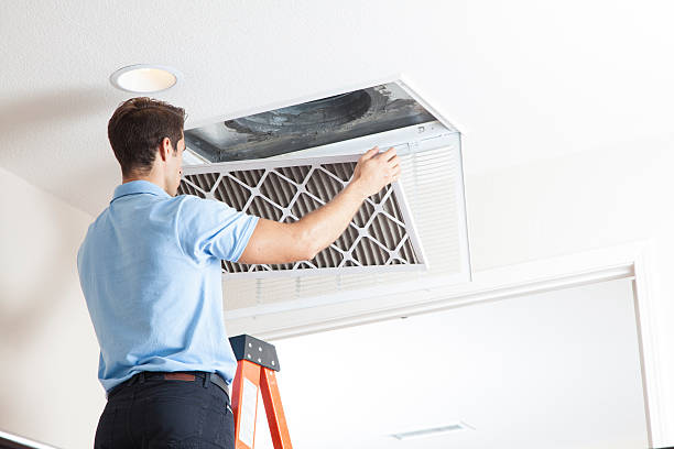 Best Local HVAC companies  in Ludowici, GA